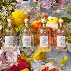 Guerlain Aqua AllegoriaNerolia Vetiver -Yves Saint Laurent || Guerlain || MEXX Verkoopwinkel 6jZ4Ti1004012 6 dgl NL