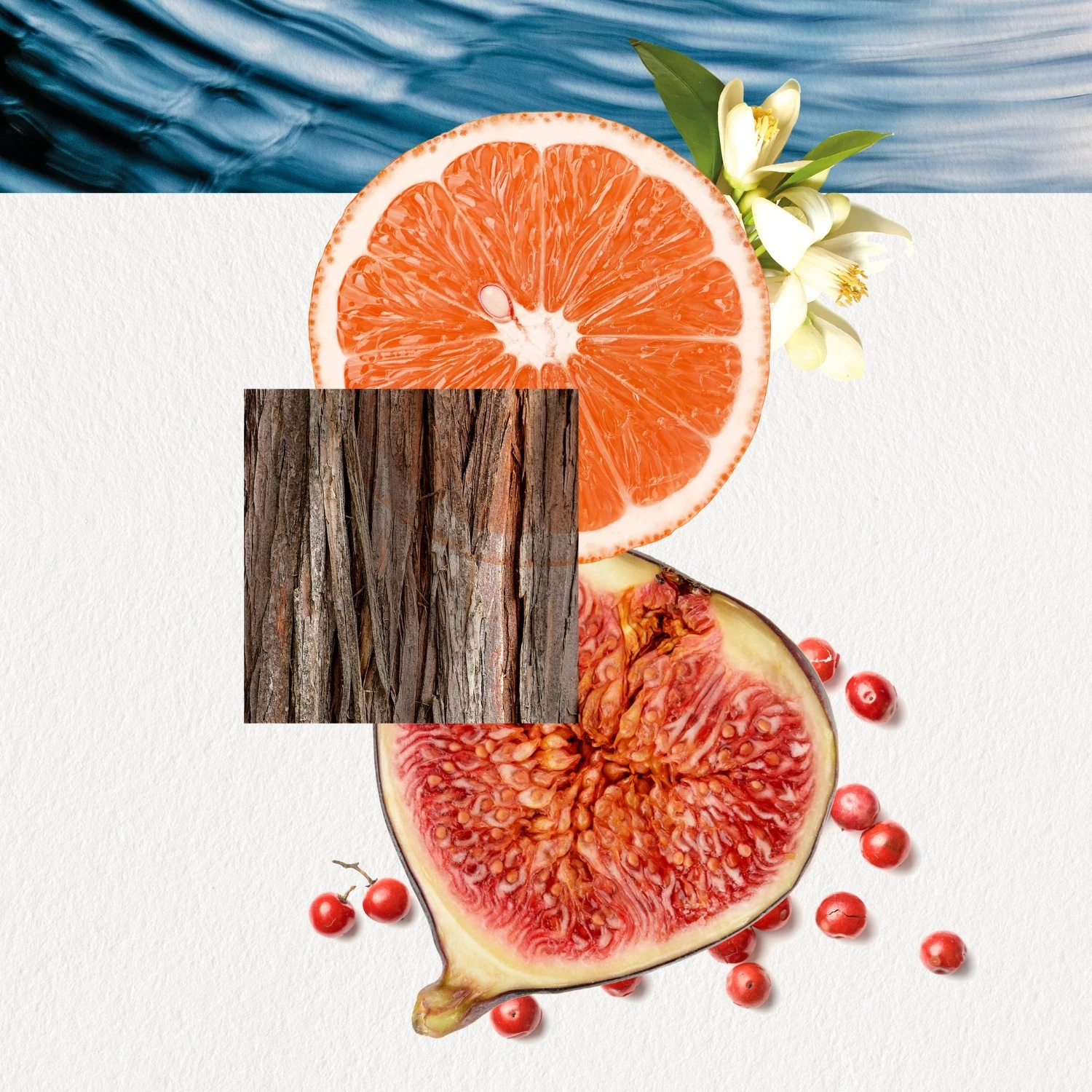 OMIZUOmizu Him 5 OMIZUOmizu Him - Afbeelding 3