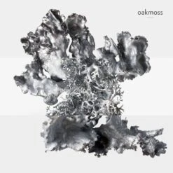 Hermès H24Eau De Parfum -Yves Saint Laurent || Guerlain || MEXX Verkoopwinkel AN6T1J1037969 7 global