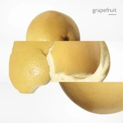 Terre D’HermèsNavulling -Yves Saint Laurent || Guerlain || MEXX Verkoopwinkel Kjbngp187998 5 global