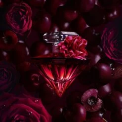 Lancome La Nuit TrésorÀ La Folie Intense Eau De Parfum -Yves Saint Laurent || Guerlain || MEXX Verkoopwinkel OjVNeu469227 3 global