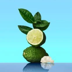 Calvin Klein Ck OneEau De Toilette Spray -Yves Saint Laurent || Guerlain || MEXX Verkoopwinkel OsosHd408467 4 dgl NL