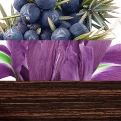 Davidoff The GameEau De Toilette -Yves Saint Laurent || Guerlain || MEXX Verkoopwinkel WSgMv3729305 2 global