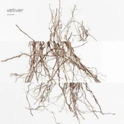 Terre D’HermèsEau Intense Vétiver -Yves Saint Laurent || Guerlain || MEXX Verkoopwinkel cNy9Dj035827 6 global