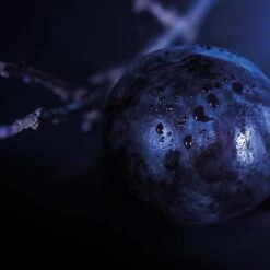 Bvlgari SplendidaTubereuse Mystique Eau De Parfum -Yves Saint Laurent || Guerlain || MEXX Verkoopwinkel fNkYWk345519 4 global