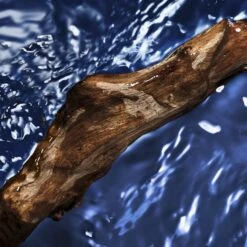 Davidoff Cool Water WomanOceanic Edition -Yves Saint Laurent || Guerlain || MEXX Verkoopwinkel j6KbgR1076410 3 global