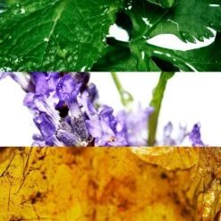 Davidoff Cool WaterAfter Shave -Yves Saint Laurent || Guerlain || MEXX Verkoopwinkel n0neBC606848 3 dgl NL