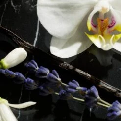 Yves Saint Laurent LibreIntense Eau De Parfum -Yves Saint Laurent || Guerlain || MEXX Verkoopwinkel s5oKlB683494 2 dgl NL