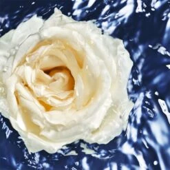 Davidoff Cool Water WomanOceanic Edition -Yves Saint Laurent || Guerlain || MEXX Verkoopwinkel w8qSRM1076410 4 global