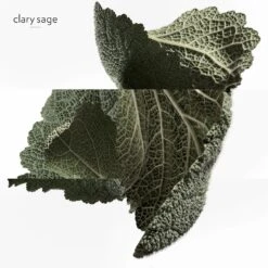 Hermès H24Eau De Parfum -Yves Saint Laurent || Guerlain || MEXX Verkoopwinkel xHz4fB1037969 6 global